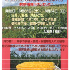 【とうもろこし収穫体験のご案内】
